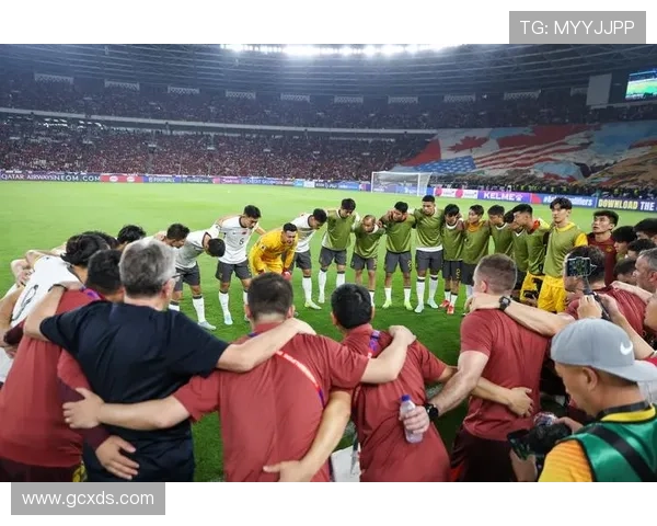 足球明星的成就与中国足球发展的差距与启示分析