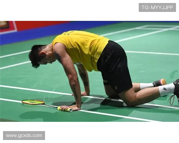 杭州羽毛球队在冠军赛中的节奏掌控与表现分析